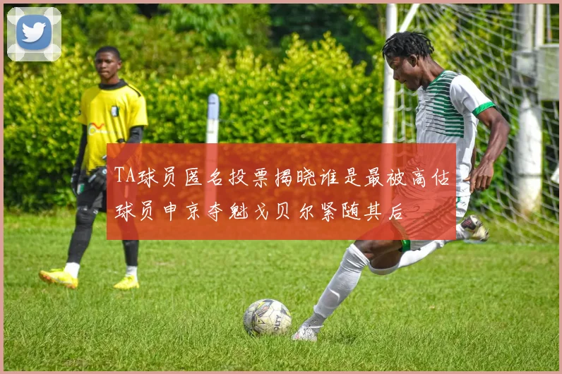 TA球员匿名投票揭晓谁是最被高估球员申京夺魁戈贝尔紧随其后